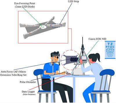 Pilot study on the dynamic interactions between cardiac activity and corneal biomechanics during eye movements